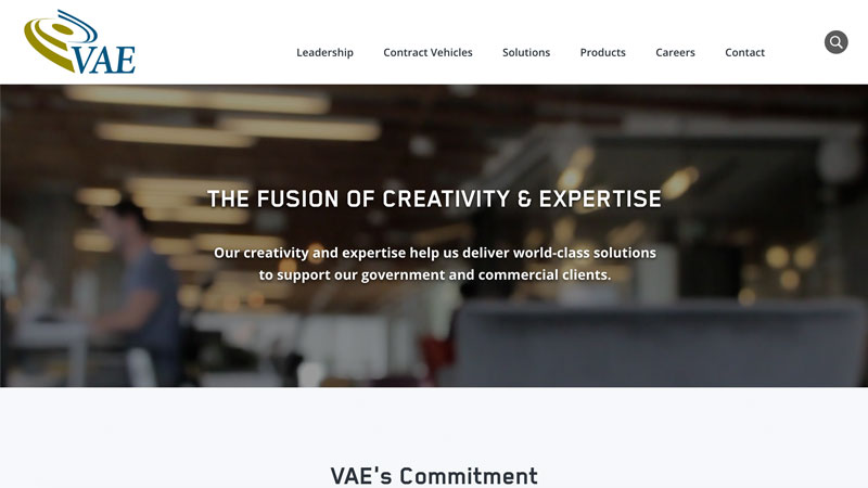 VAE IT Desktop Screenshot portfolio item