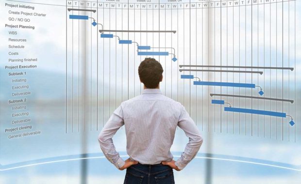 digital marketer look at graph showing seo management skills