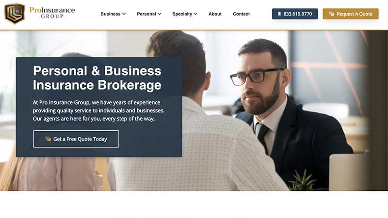 Pro Ins Desktop portfolio item