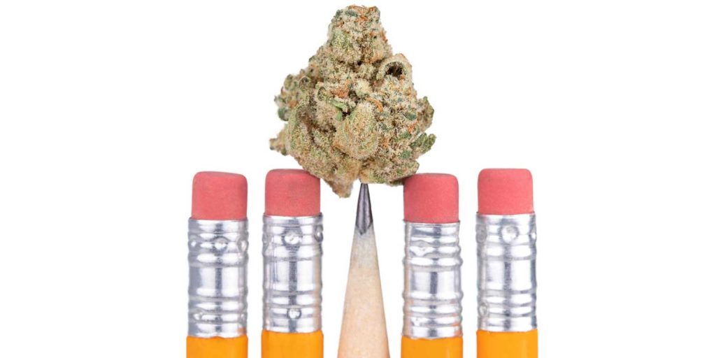 Marijuana on top of pencil depicting a dispensary content marketing strategy