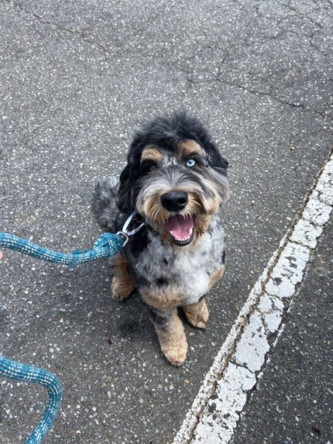 321 Web Marketing - Kendyl Harvey 3